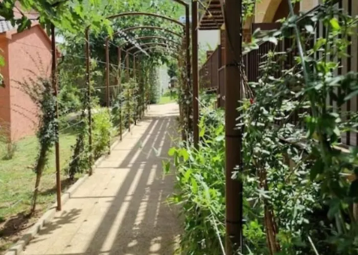 Appartement Soleil, Piscine, Parking Et Bienvenue A Sisco